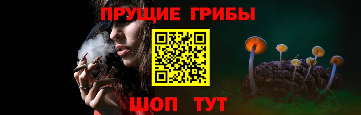 Галлюциногенные грибы Psilocybe Россошь